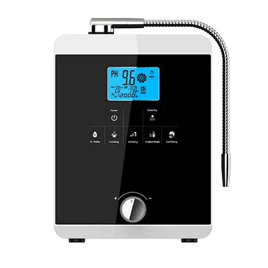 hydrogen water ionizer bottle